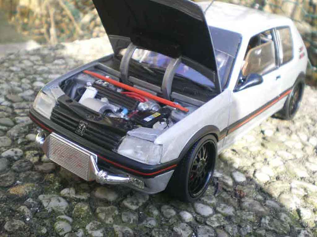 Peugeot 205 GTI JSO tct 1/18 Solido