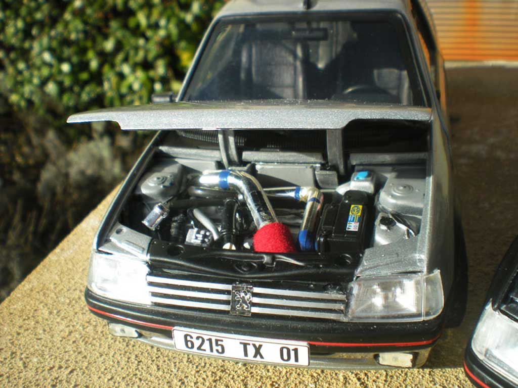 Peugeot 205 GTI TCT grey futura jantes PTS 1/18 Solido