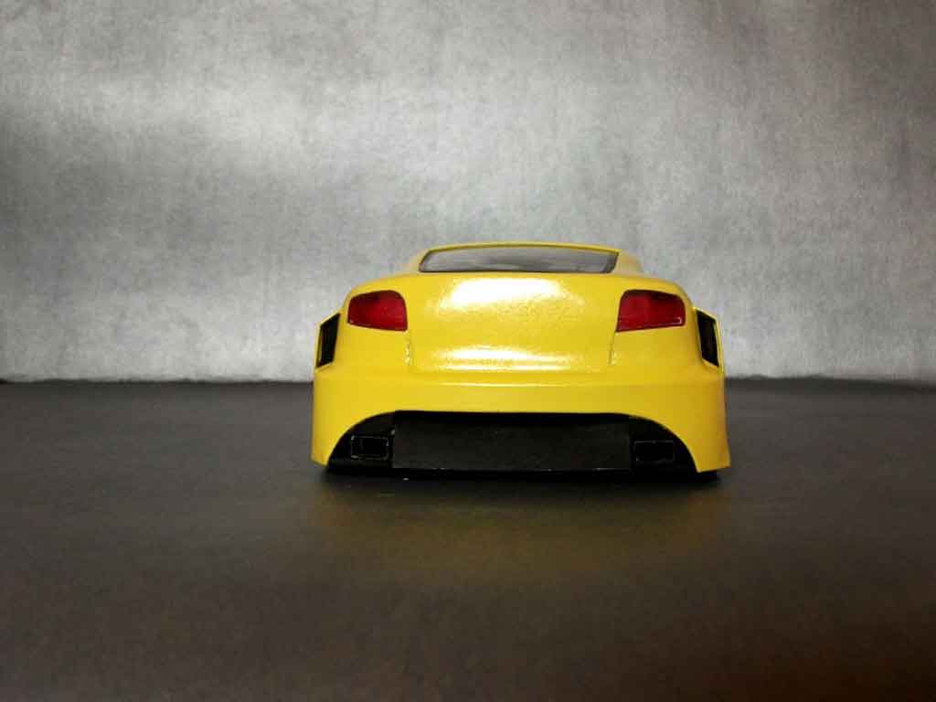 Renault Megane Maxi Maxi prototype course 1/18 Anson