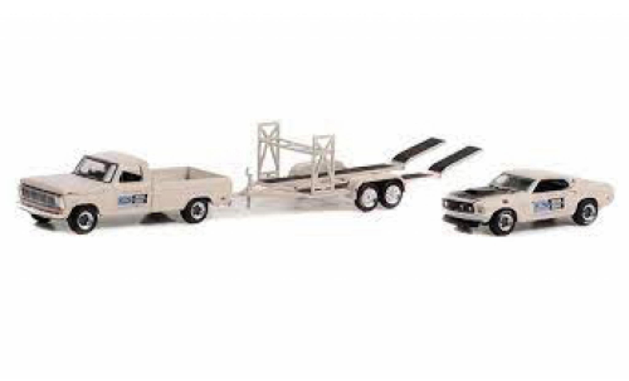 Ford F-1 1/64 Greenlight 00 Pete Peterson 1969 diecast model cars