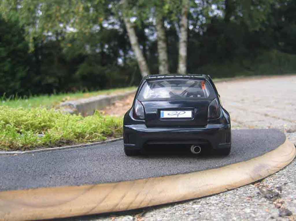 Citroen C2 course street race trohpy 1/18 Solido
