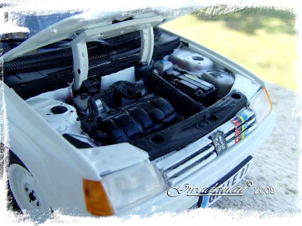 Peugeot 205 Rallye Rally base gti 1/18 Solido