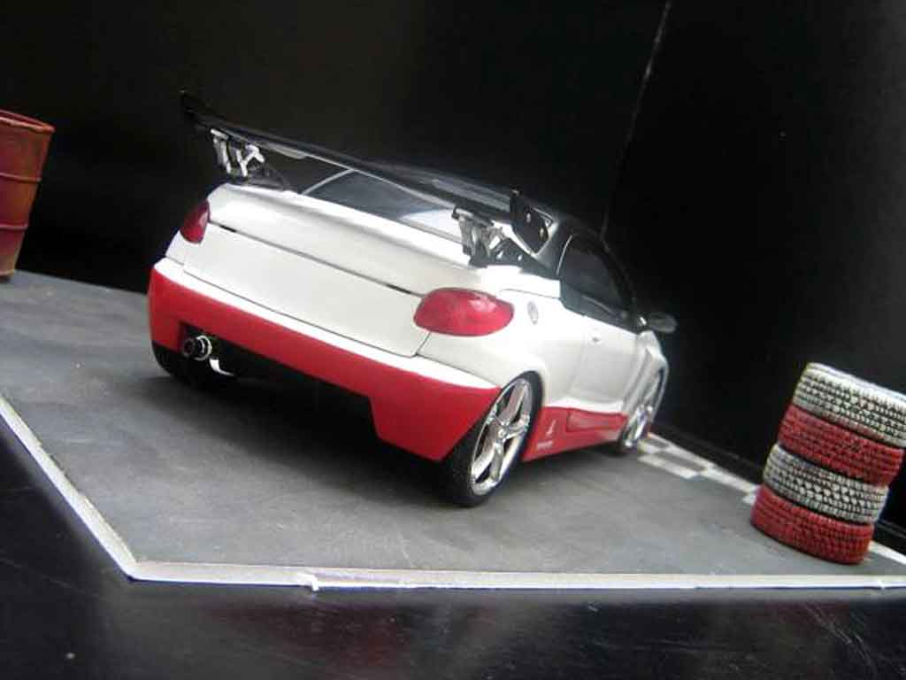 Peugeot 206 CC parotech racing 1/18 Norev