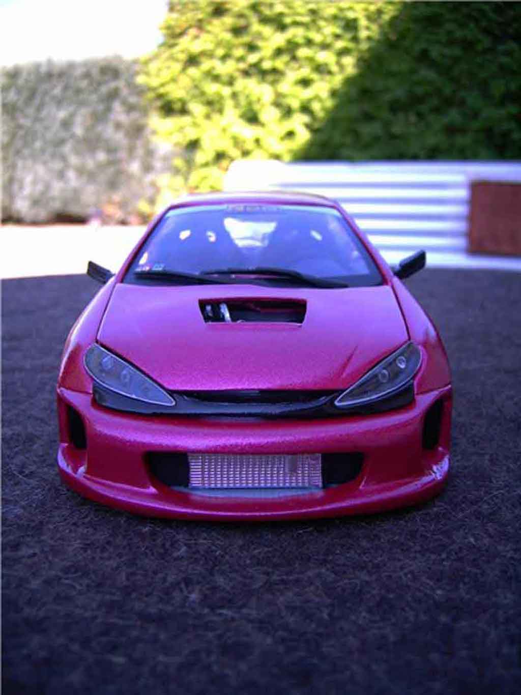 Peugeot 206 WRC kit large tuning 1/18 Solido