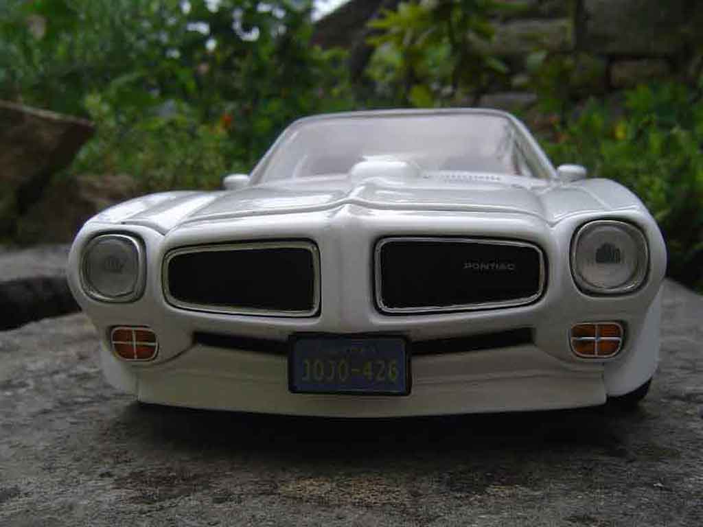 Pontiac Firebird 1973 1/18 Ertl 1973 trans am diecast model cars