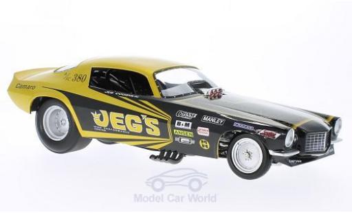 Diecast model cars Chevrolet Camaro course Funny Car Jeg Coughlin NHRA 1970 1/18 Ertl