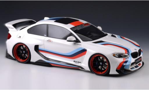 Diecast model cars Bmw M235 tuning 35i (F22) DarwinPRO MTC Black Sails Widebody white/Dekor 2015 1/18 GLM