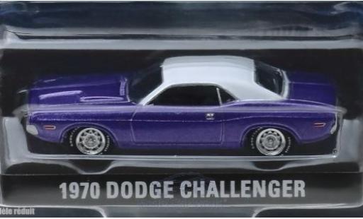 Diecast model cars Dodge Challenger 1970 metallic purple/white Graveyard Carz 1/64 Greenlight