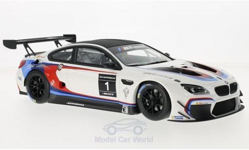 Diecast model cars Bmw M6 GT3 white/black Sportstrophy 2016 2016 The Next 100 Years without Vitrine 1/18 Kyosho