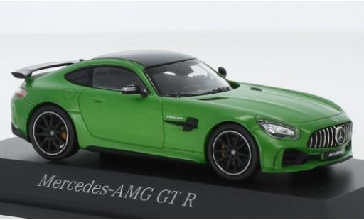 Diecast model cars Mercedes AMG GT GT R (C190) matt-green 1/43 Norev