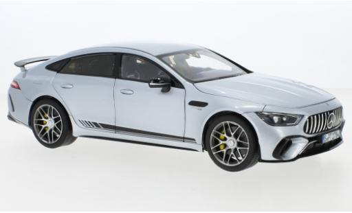Diecast model cars Mercedes AMG GT Base 63 S 4Matic (C290) grey 2021 1/18 Norev